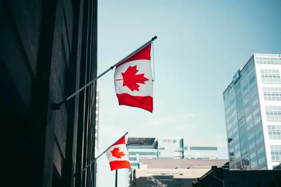Canadian flags on a downtown street between office buildings